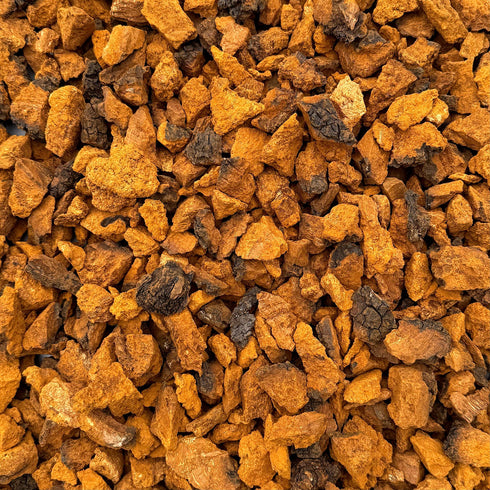 CHAGA MUSHROOM, wild harvested, chunks or pieces