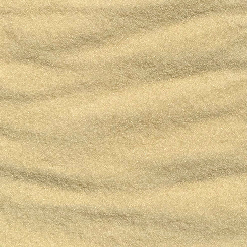 ORGANIC SUGAR, evaporated cane juice, golden