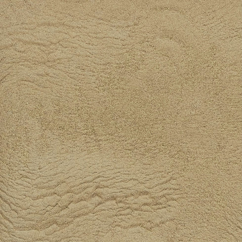 ORGANIC GUDUCHI (Giloy), powder