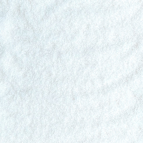 ORGANIC COCONUT, desiccated, fine shred