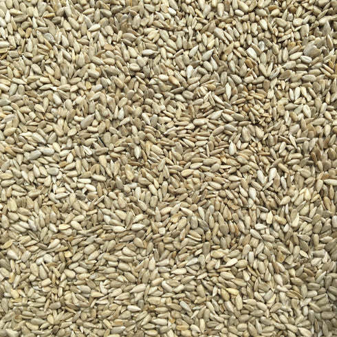ORGANIC SUNFLOWER SEEDS, raw, shelled, imported