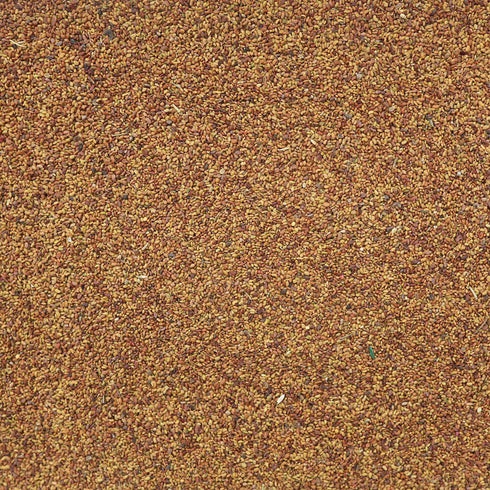 ORGANIC ALFALFA SEEDS, sprouting