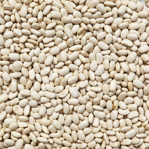 ORGANIC CANNELLINI BEANS