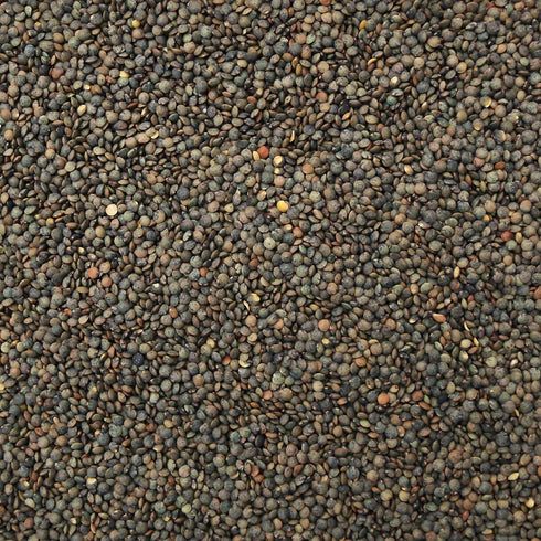 ORGANIC LENTILS, French