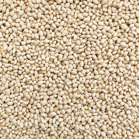 ORGANIC NAVY BEANS