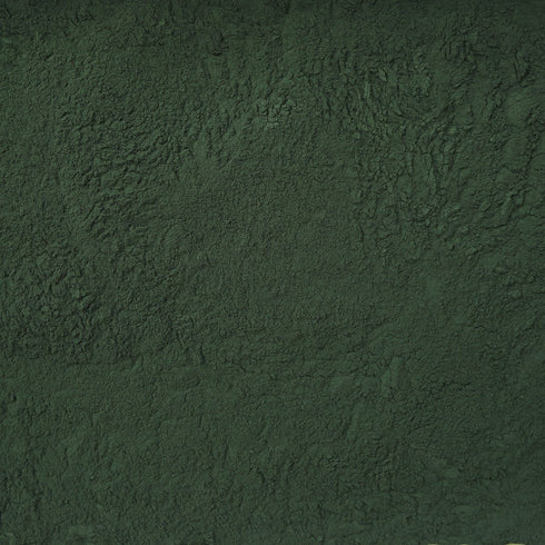 ORGANIC SPIRULINA, powder