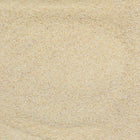 ORGANIC GARLIC, granules