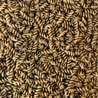 ORGANIC MUNG BEAN PASTA, Fusilli