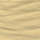 ORGANIC SUGAR, evaporated cane juice, golden