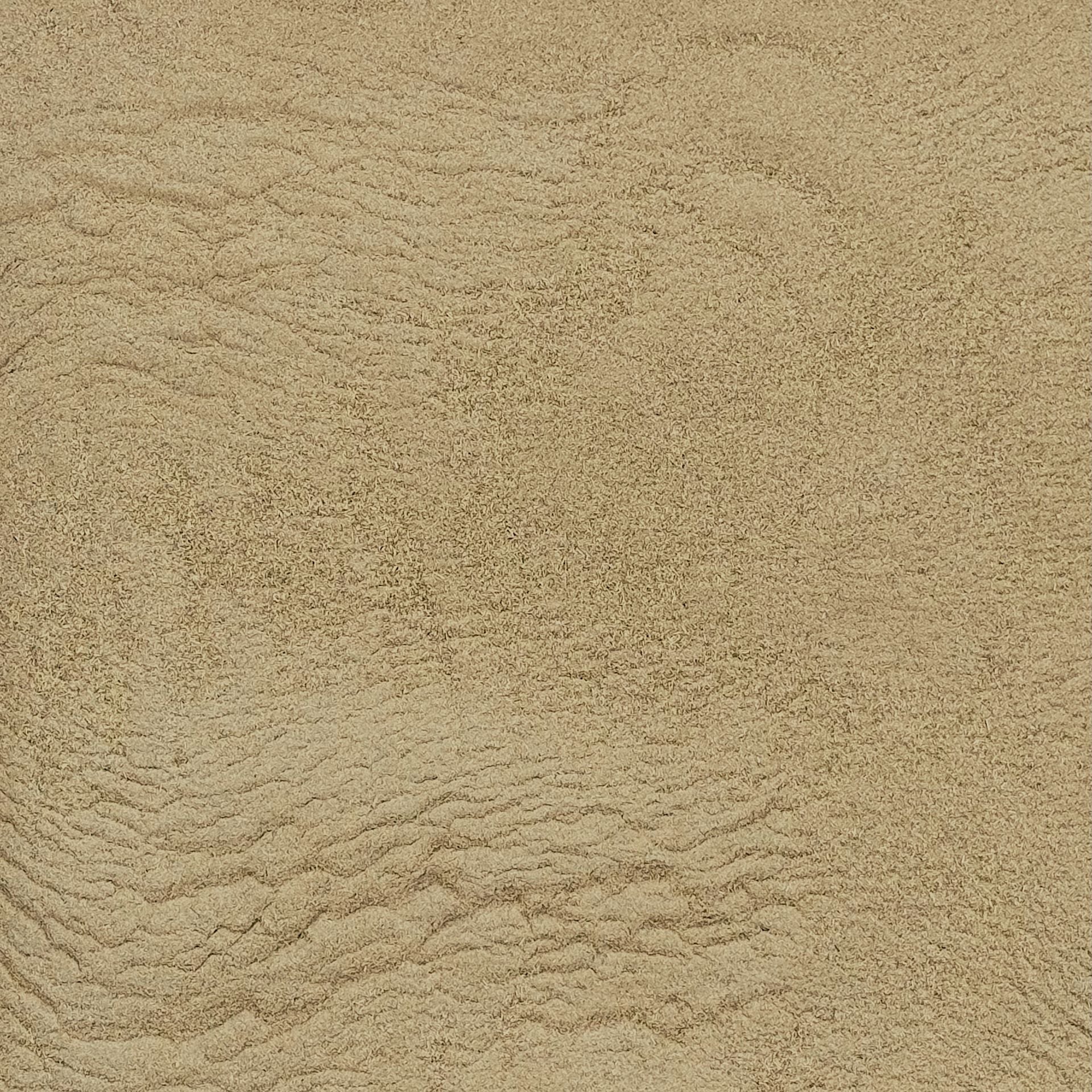 ORGANIC GUDUCHI (Giloy), powder