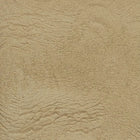 ORGANIC GUDUCHI (Giloy), powder