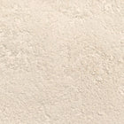 ORGANIC BROWN RICE PROTEIN, powder