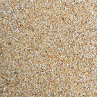 ORGANIC ONION, granules