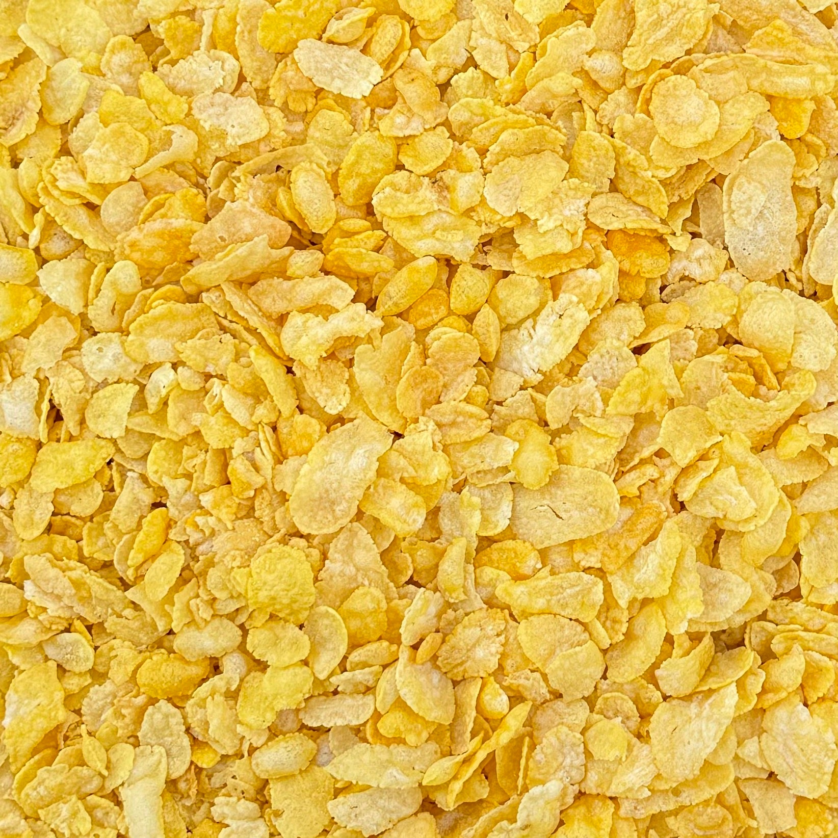 ORGANIC CORN FLAKES, unsweetened