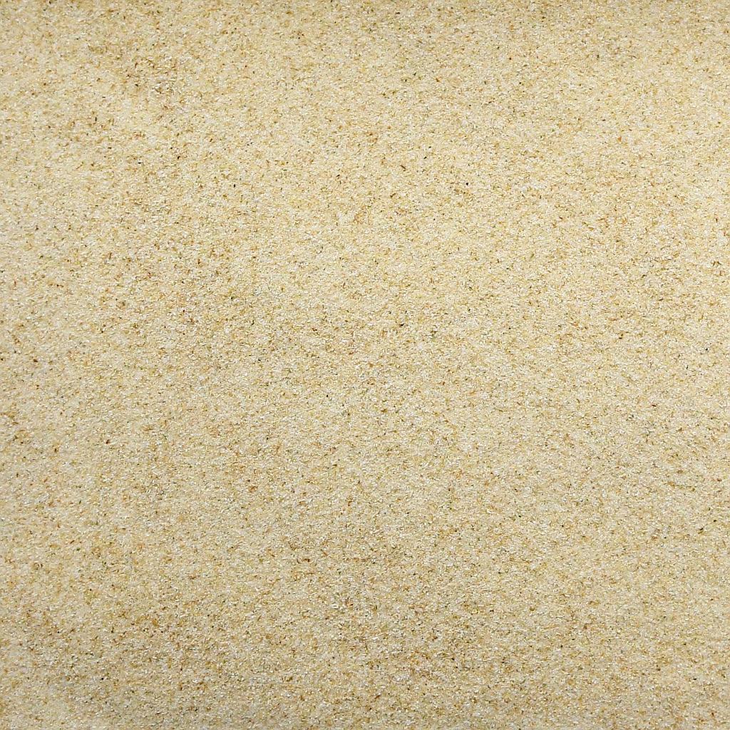 ORGANIC ONION, granules