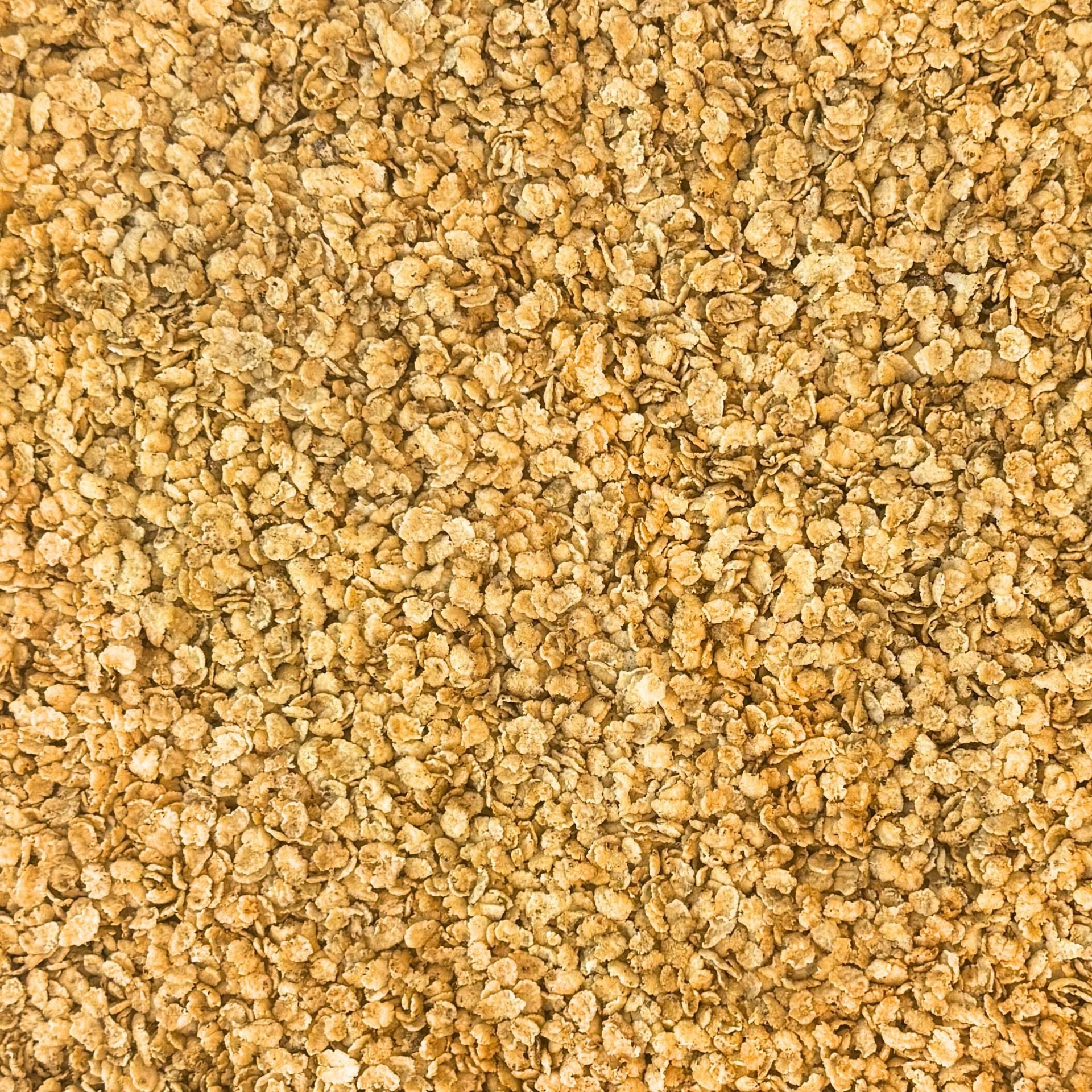 ORGANIC SORGHUM CRISPS, flakes