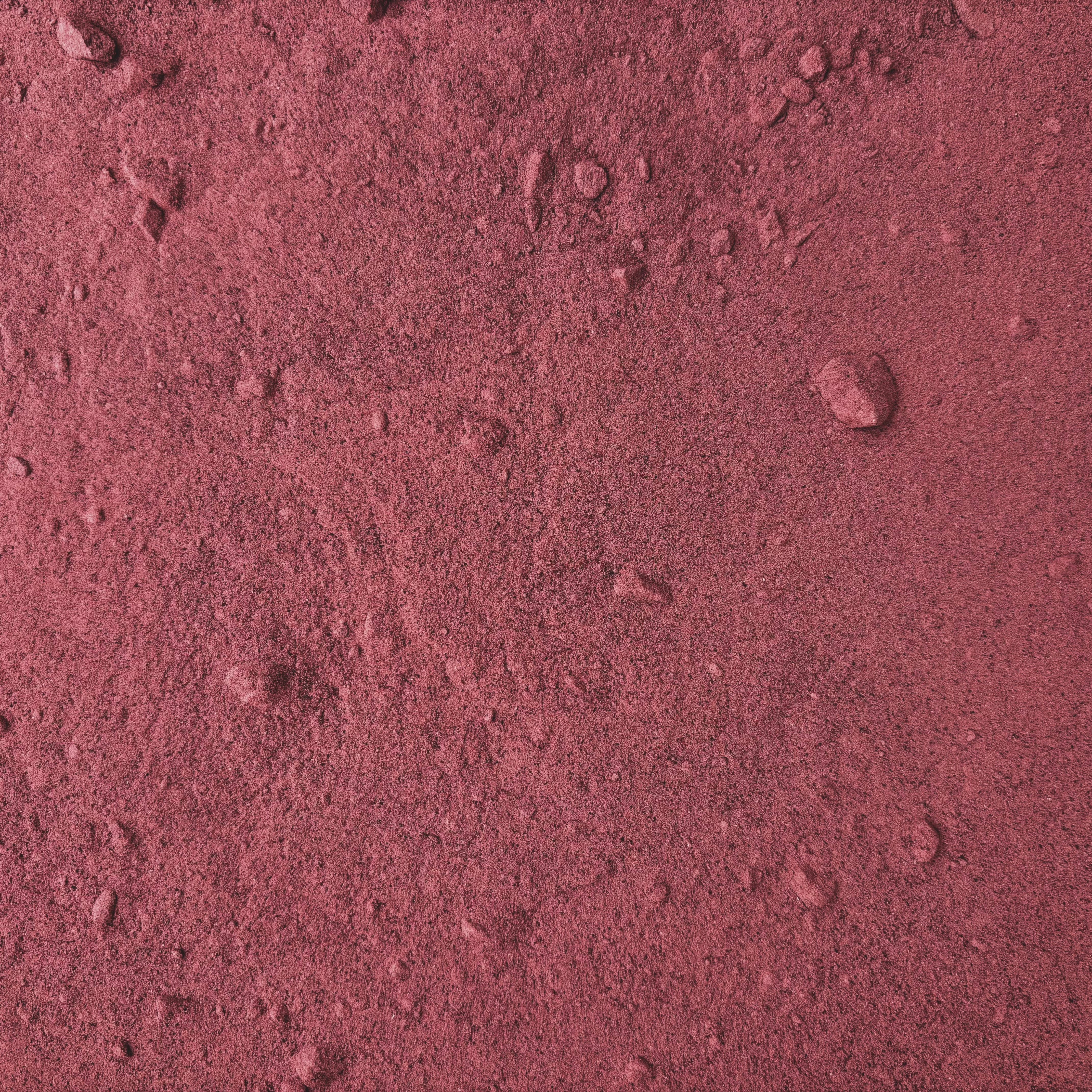 ORGANIC BEET ROOT, powder