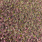 ORGANIC SEVEN SEA-VEGGIES BLEND