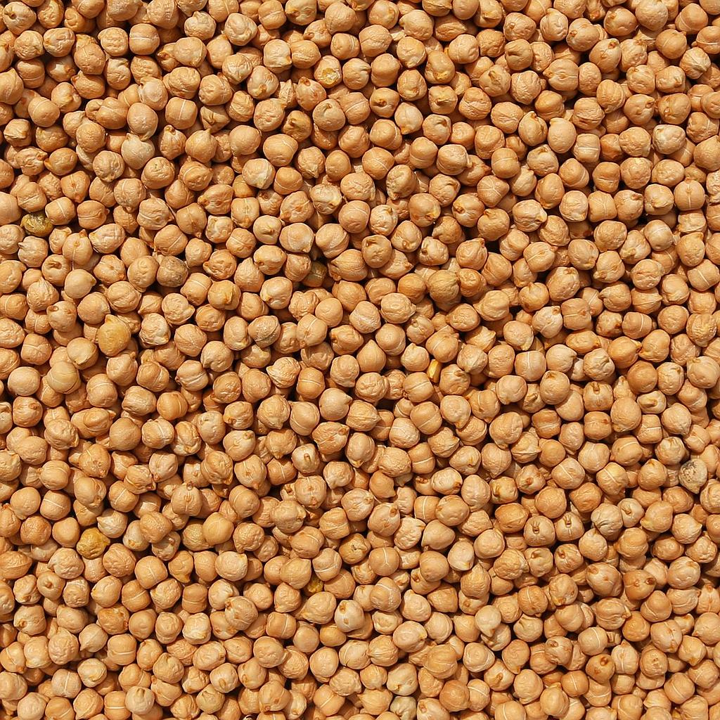 ORGANIC GARBANZO BEANS (Chickpeas)