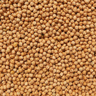 ORGANIC GARBANZO BEANS (Chickpeas)
