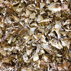 ORGANIC MAITAKE MUSHROOM, dried, whole | Organic Matters