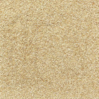 ORGANIC SESAME SEEDS, white, hulled