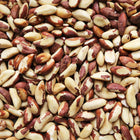 BRAZIL NUTS, raw, whole