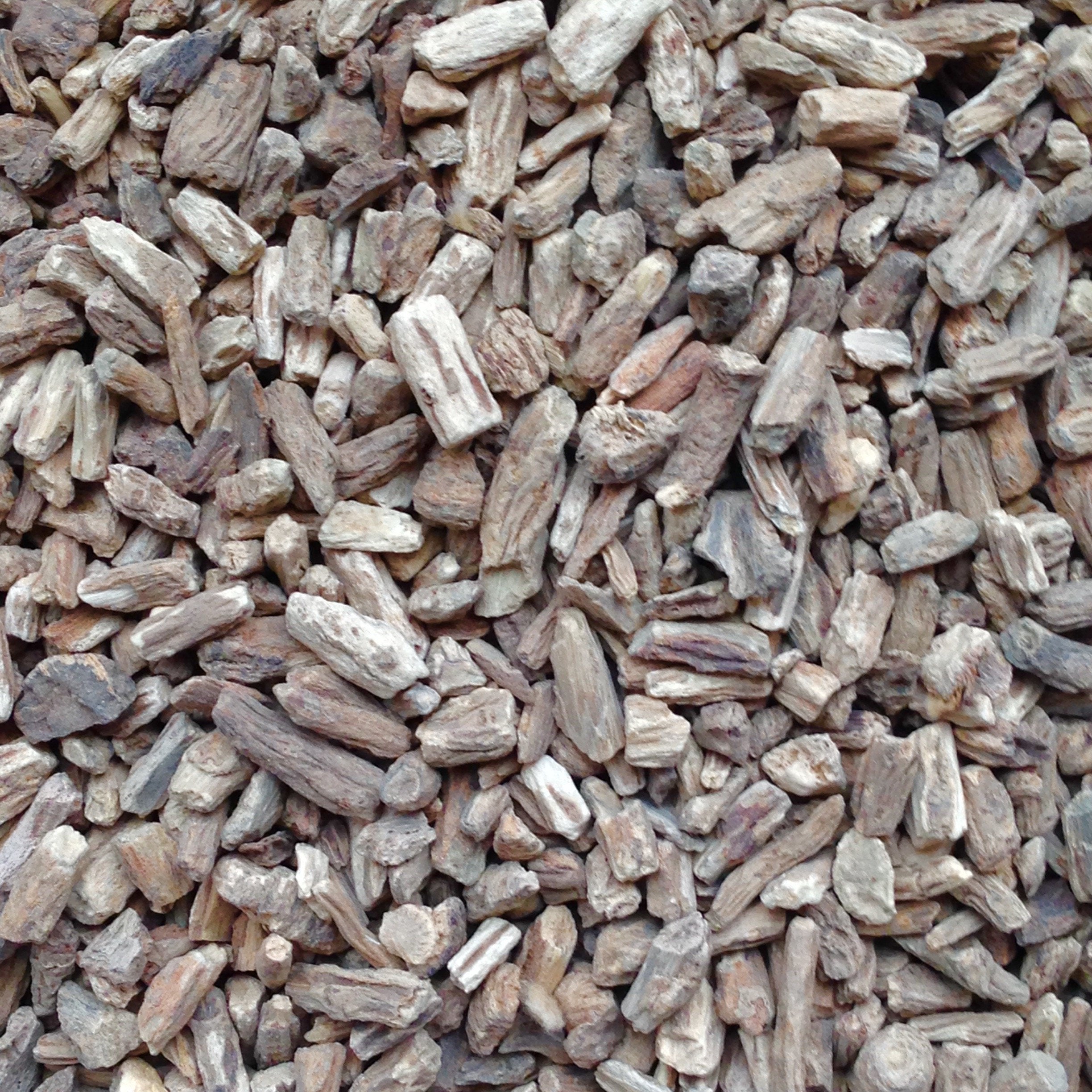 ORGANIC DANDELION ROOT, c/s | Organic Matters