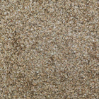 ORGANIC DILL SEED, whole | Organic Matters