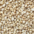 ORGANIC MACADAMIA NUTS, halves and wholes | Organic Matters