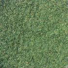 ORGANIC CILANTRO LEAF, c/s | Organic Matters