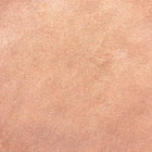 ORGANIC POMEGRANATE JUICE, powder | Organic Matters