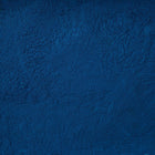 ORGANIC PHYCOCYANIN, powder | Organic Matters