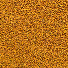 ORGANIC TURMERIC ROOT, c/s