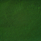 ORGANIC WHEATGRASS JUICE, powder