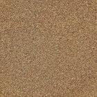 ORGANIC CELERY SEED, whole