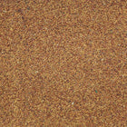 ORGANIC ALFALFA SEEDS, sprouting | Organic Matters