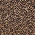 ORGANIC ALLSPICE, whole | Organic Matters