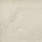 ORGANIC ASHWAGANDHA, powder | Organic Matters