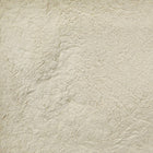 ORGANIC OAT MILK, powder