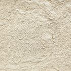 ORGANIC ASTRAGALUS ROOT, powder | Organic Matters