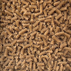 ORGANIC SORGHUM PASTA, Fusilli | Organic Matters