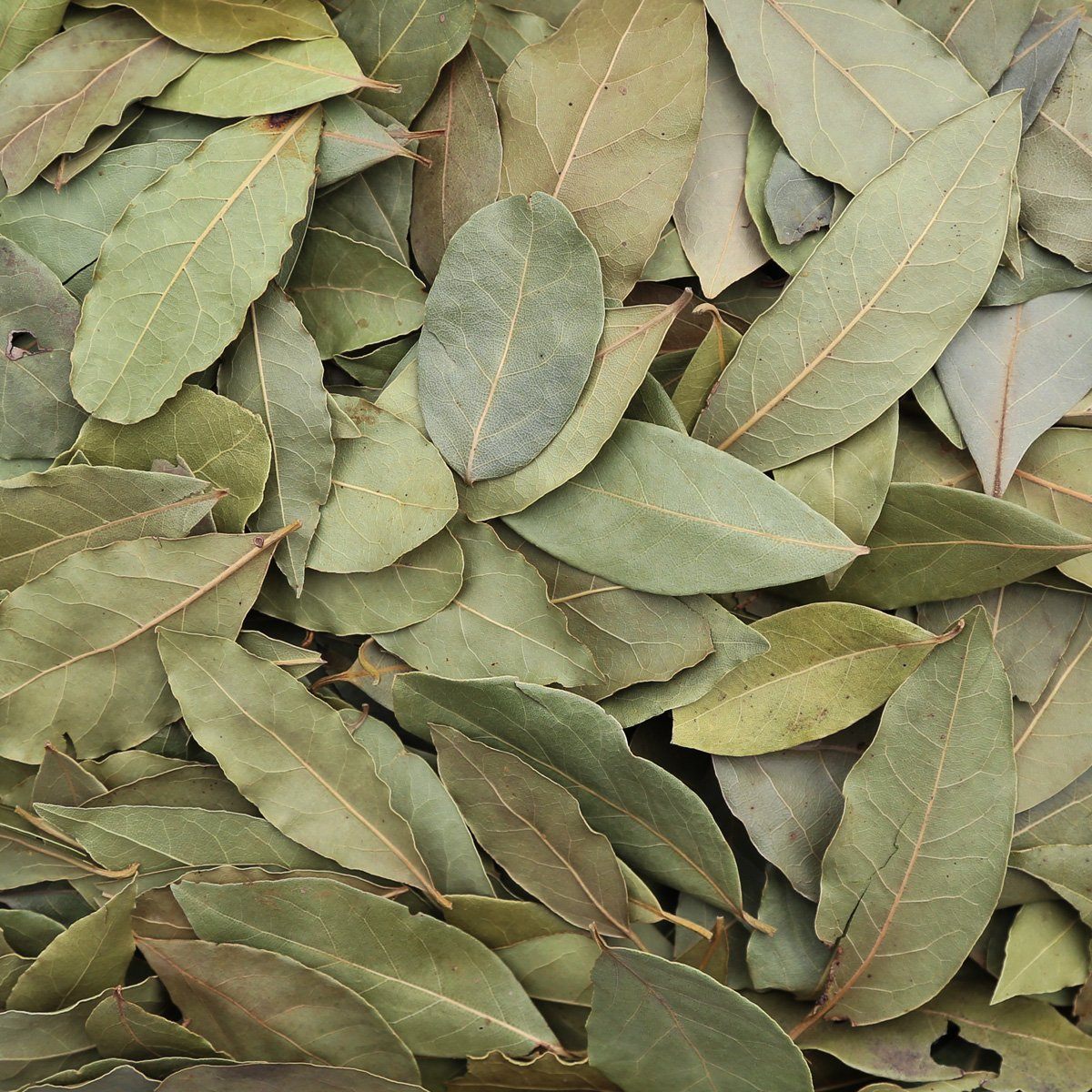 ORGANIC BAY LEAF, whole | Organic Matters