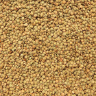 ORGANIC LENTILS, Green (Laird)