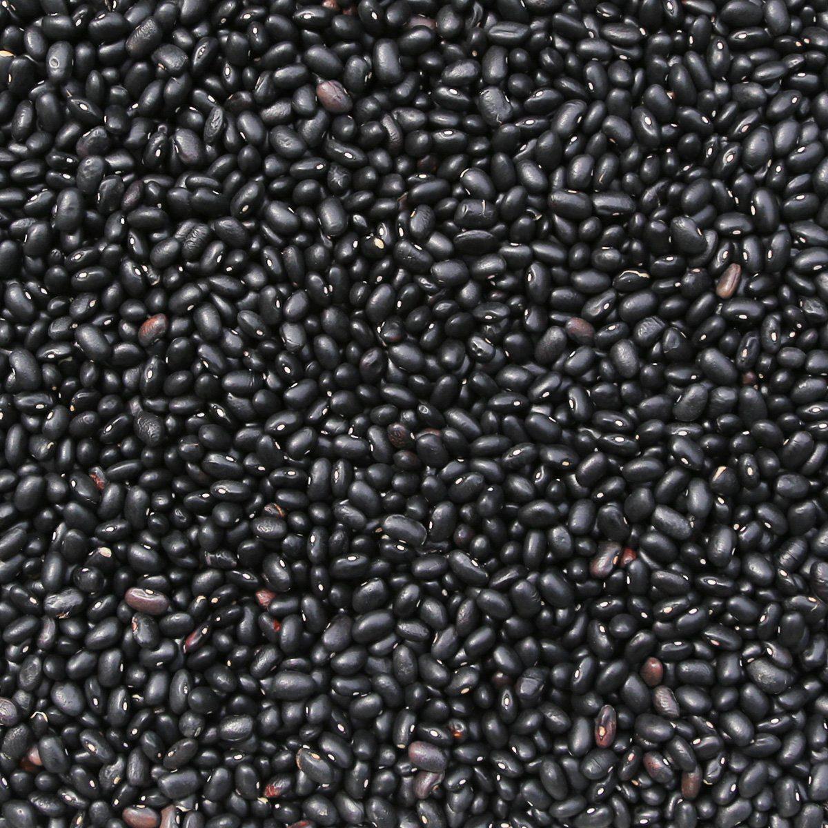 ORGANIC BLACK TURTLE BEANS – Om Foods | Organic Matters