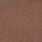 ORGANIC BROCCOLI SEEDS, sprouting | Organic Matters