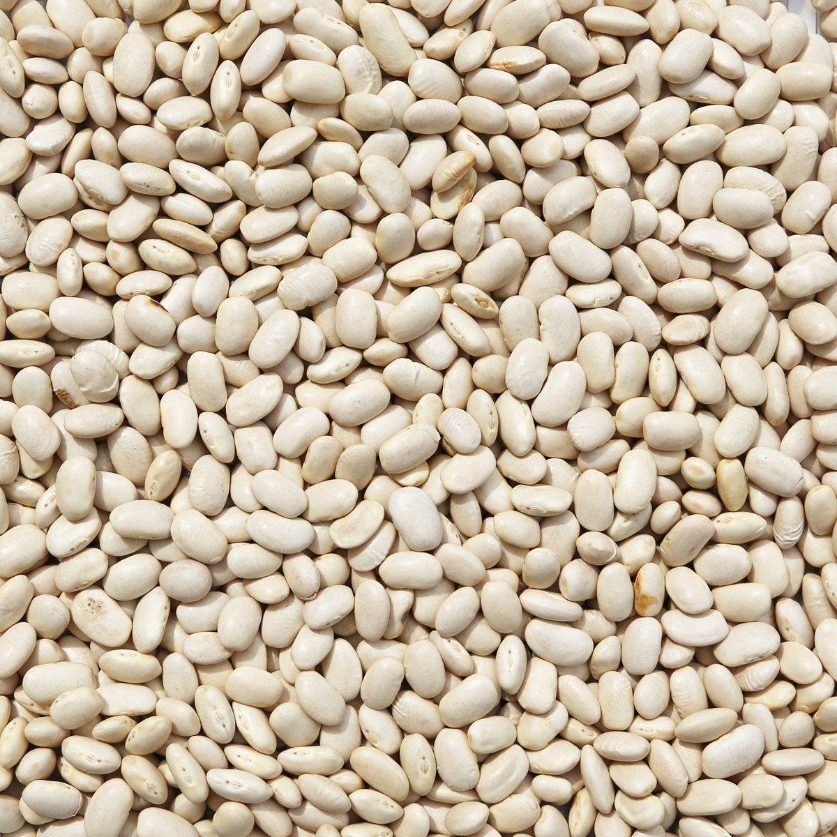 ORGANIC CANNELLINI BEANS | Organic Matters