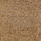 ORGANIC CARAWAY SEEDS, whole | Organic Matters