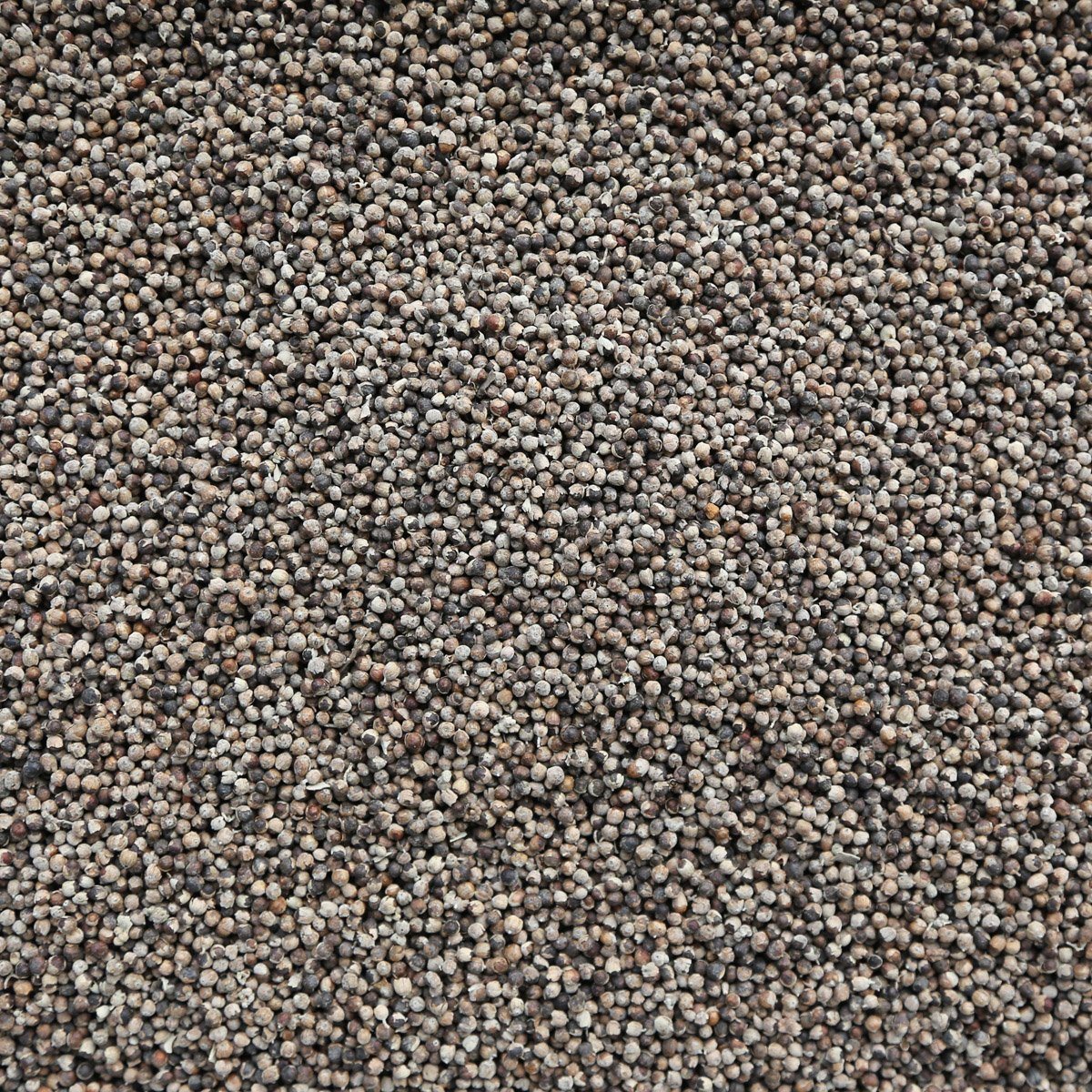 ORGANIC VITEX BERRIES (CHASTE TREE), whole