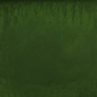 ORGANIC CHLORELLA, cracked cell, powder | Organic Matters